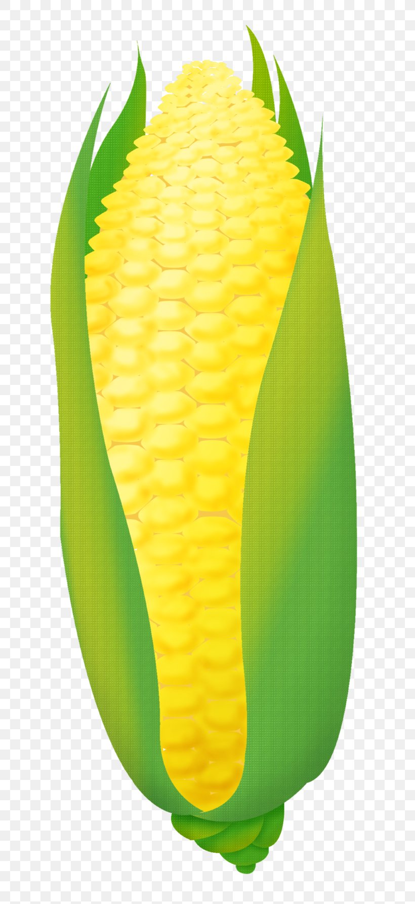 Corn On The Cob Naver Blog, PNG, 740x1785px, Corn On The Cob, Art, Blog, Carambola, Commodity Download Free