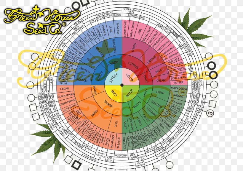 Medical Cannabis Flavor Terpene Marijuana, PNG, 1131x800px, Cannabis, Arjan Roskam, Cannabinoid, Cannabis Cultivation, Cannabis Sativa Download Free