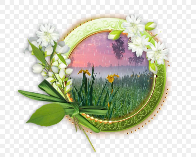Picture Frames Photography PhotoScape, PNG, 687x656px, Picture Frames, Corel Photopaint, Flower, Grass, Organism Download Free