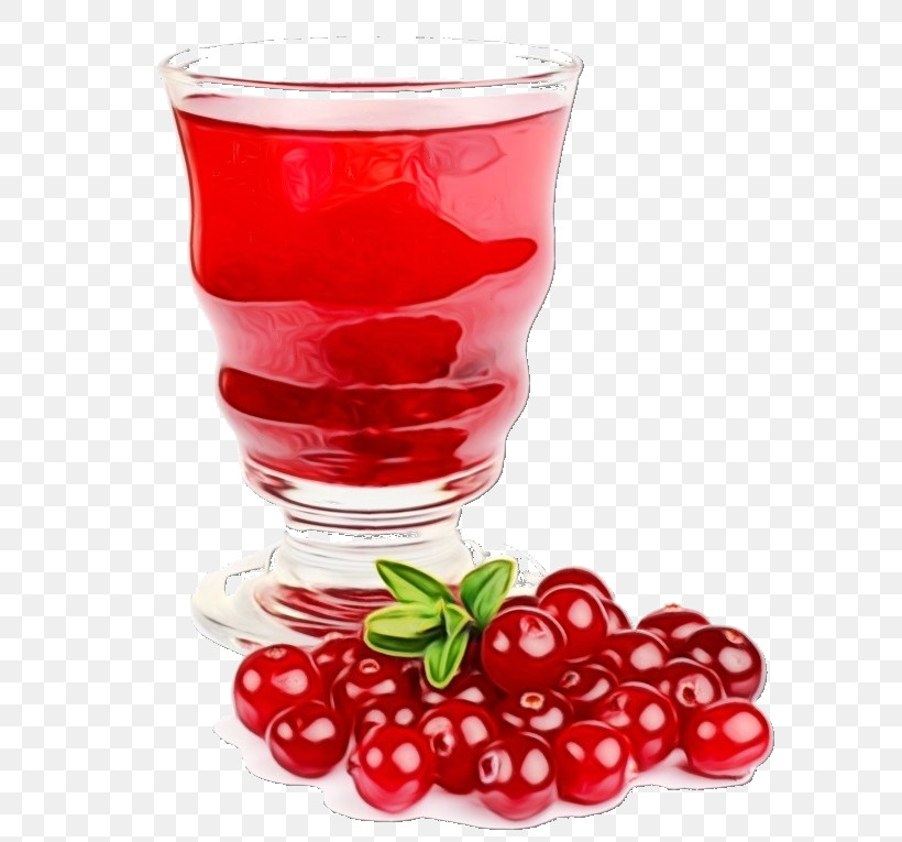 Cranberry Juice Urinary Tract Infection Food, PNG, 638x765px, Watercolor, Apple Cider Vinegar, Berry, Cranberry, Cranberry Juice Download Free