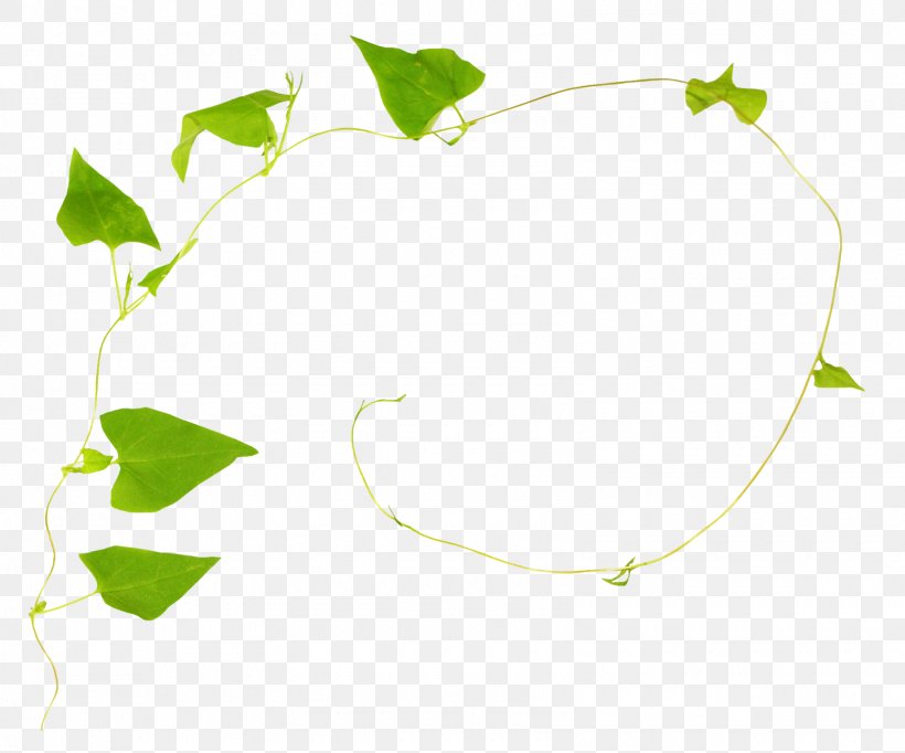 Green Poster Twig Leaf Graphics, PNG, 1600x1332px, Green, Advertising, Calameae, Cartoon, Flower Download Free