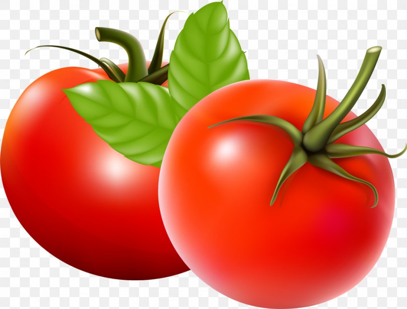 Tomato Juice Tomato Soup Vegetable, PNG, 945x720px, Tomato Juice, Bush Tomato, Diet Food, Drawing, Food Download Free