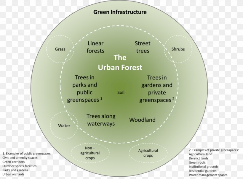 Urban Forestry Green Infrastructure, PNG, 1024x757px, Urban Forest, Agriculture, Brand, Canopy, Diagram Download Free