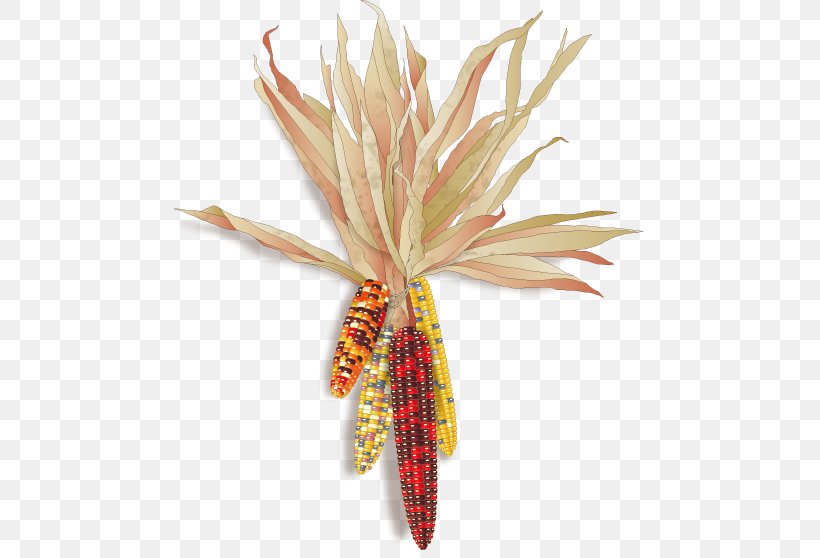 Orange S.A., PNG, 474x558px, Orange Sa, Brooch, Fashion Accessory, Feather, Flower Download Free
