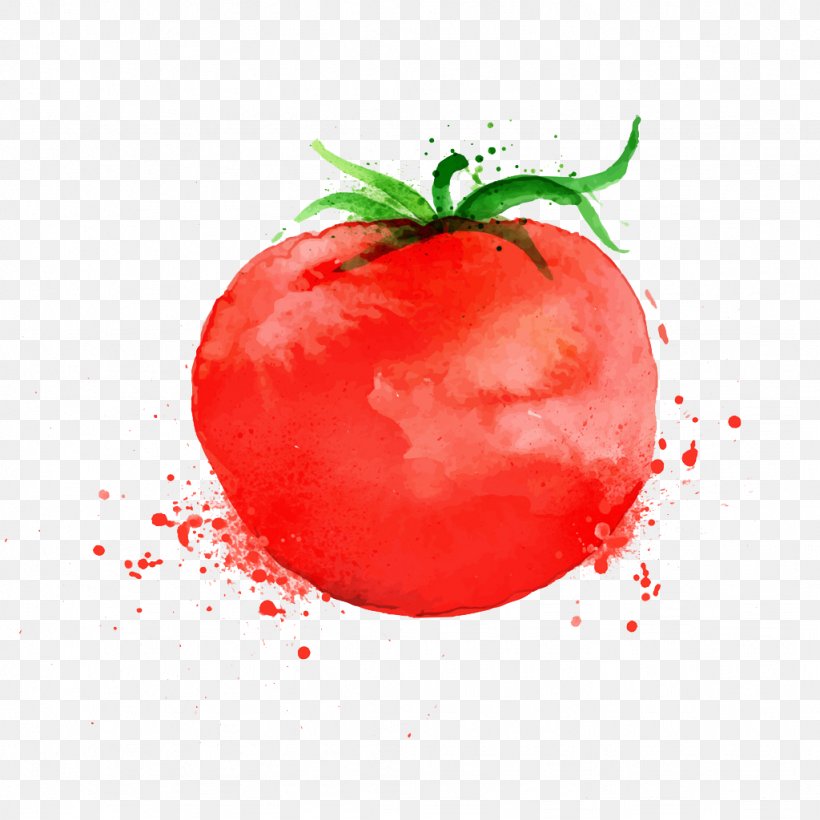Pizza Parmigiana Tomato Soup, PNG, 1024x1024px, Pizza, Apple, Drawing, Food, Fruit Download Free