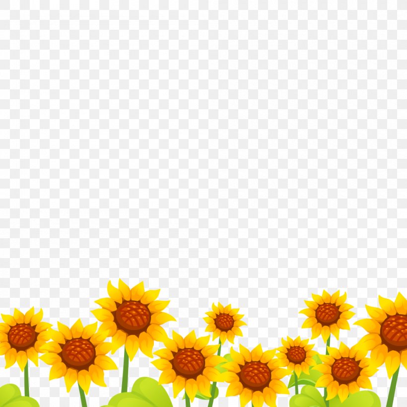 Sunflower Seed Marigolds Annual Plant Sunflower M Sunflowers, PNG, 1000x1000px, Sunflower Seed, Annual Plant, Calendula, Daisy, Daisy Family Download Free