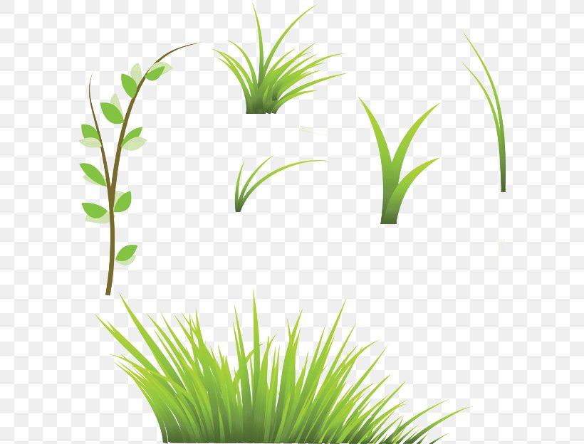 Lawn Stock Photography Royalty-free Clip Art, PNG, 600x624px, Lawn, Aquarium Decor, Drawing, Flora, Flower Download Free