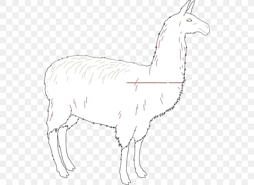 Llama Line Art Drawing Clip Art, PNG, 534x599px, Llama, Alpaca, Animal Figure, Art, Artwork Download Free