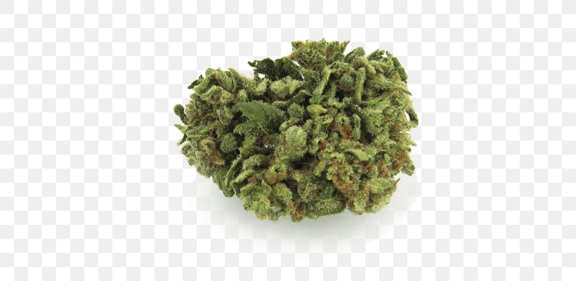 Medical Cannabis Hash Oil Gorilla Glue Cannabis Shop, PNG, 800x400px, Cannabis, Cannabis Culture, Cannabis Industry, Cannabis Sativa, Cannabis Shop Download Free