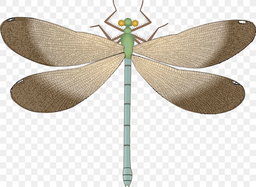Dragonfly, PNG, 1280x936px, Dragonfly, Agrion, Arthropod, Damselfly, Digital Image Download Free