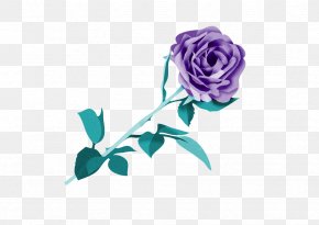 Rose - Garden Roses Floral Design Cut Flowers Petal PNG