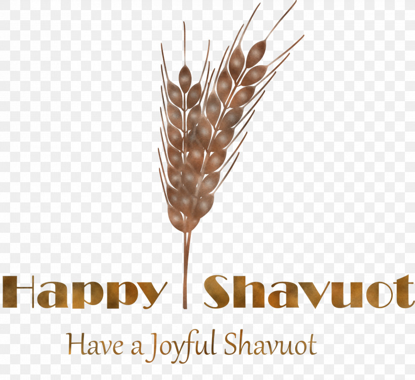 Happy Shavuot Shavuot Shovuos, PNG, 3000x2748px, Happy Shavuot, Crop, Einkorn Wheat, Elymus Repens, Food Grain Download Free