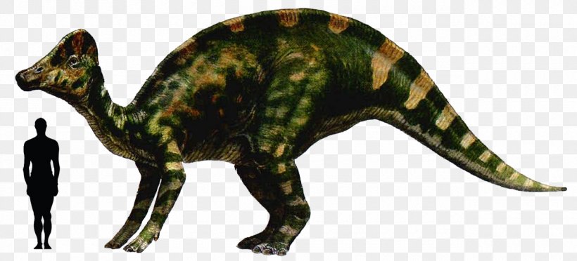 Hypacrosaurus Abelisaurus Riojasaurus Stegoceras Dinosaur, PNG, 1280x581px, Hypacrosaurus, Abelisauridae, Abelisaurus, Aerosteon, Animal Figure Download Free