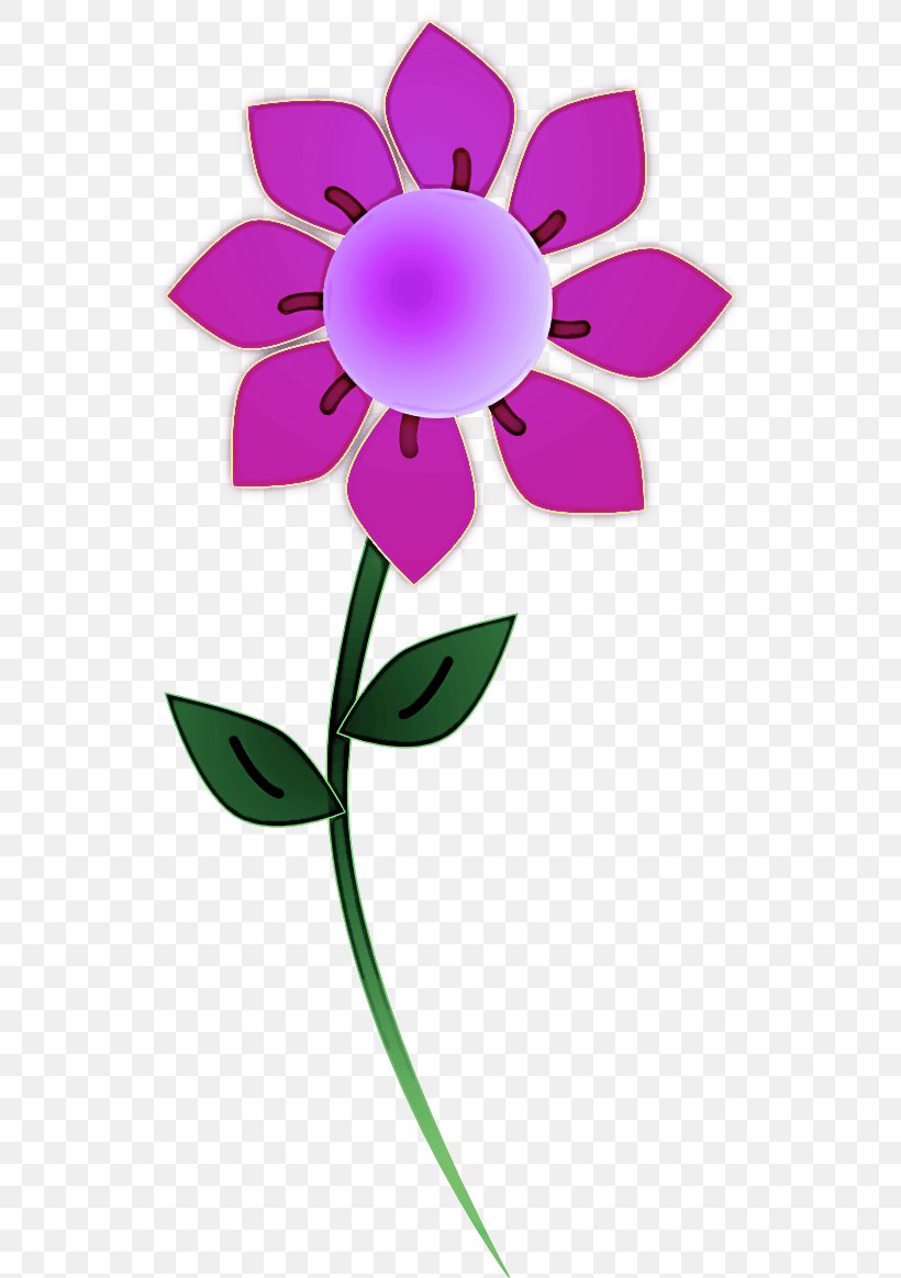 Flower Petal Violet Pink Purple, PNG, 555x1164px, Flower, Flowering Plant, Pedicel, Petal, Pink Download Free