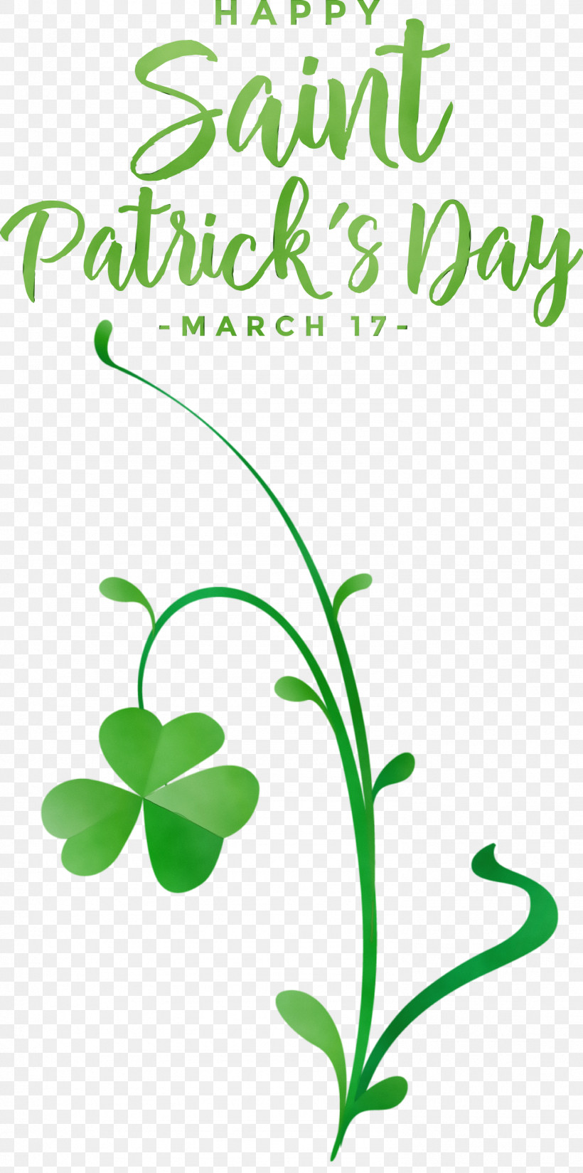 Plant Stem Leaf Flower Tree Meter, PNG, 1491x3000px, St Patricks Day, Branching, Flower, Herbal Medicine, Leaf Download Free