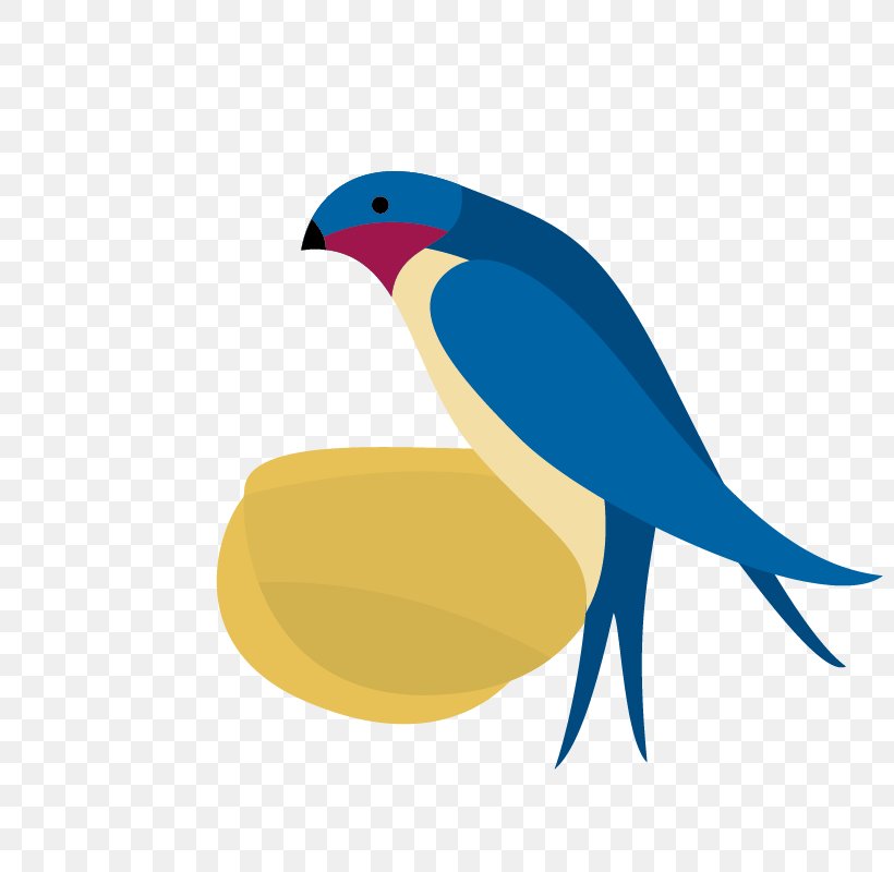 Swallow Vector Graphics Image Drawing, PNG, 800x800px, Swallow, Art, Beak, Bird, Bluebird Download Free