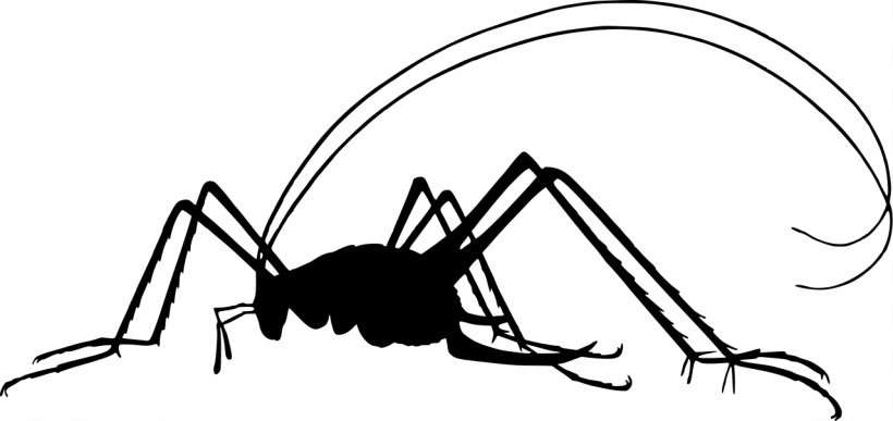 Black And White Bee Silhouette Insect Clip Art, PNG, 1279x605px, Black And White, Artwork, Bee, Cartoon, Cave Crickets Download Free