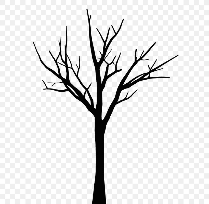 Drawing Tree Leaf Oak Sketch, PNG, 603x800px, Drawing, Art, Black And White, Branch, Coloring Book Download Free