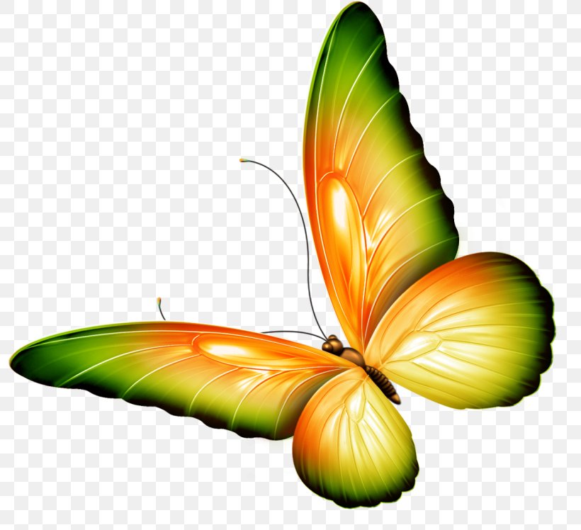 Brush-footed Butterflies Butterfly The Beautiful Garden Poems By Chinyere Nwakanma Clip Art, PNG, 798x748px, Brushfooted Butterflies, Arthropod, Brush Footed Butterfly, Butterfly, Chinyere Nwakanma Download Free