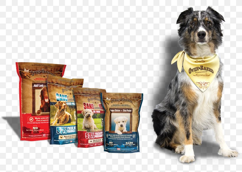 Dog Breed Puppy Dog Food Companion Dog, PNG, 814x585px, Dog Breed, Baking, Breed, Companion Dog, Dog Download Free