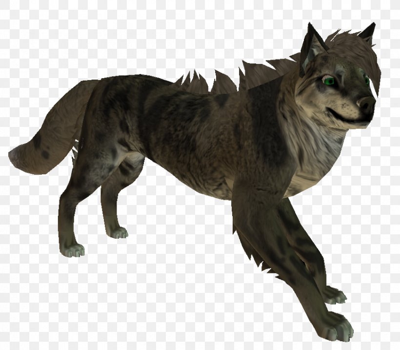 Gray Wolf Cat Fur Terrestrial Animal Tail, PNG, 870x761px, Gray Wolf, Animal, Carnivoran, Cat, Cat Like Mammal Download Free