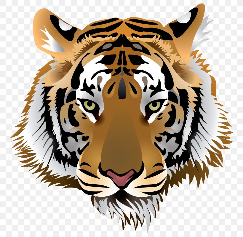 Cat Bengal Tiger White Tiger Clip Art, PNG, 777x800px, Cat, Animal, Bengal Tiger, Big Cats, Carnivoran Download Free
