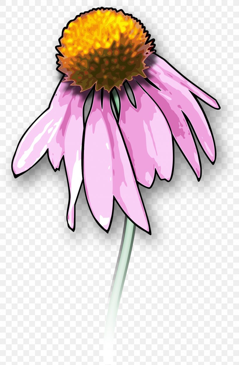 Death Drawing Art Clip Art, PNG, 1572x2400px, Death, Art, Aster, Coneflower, Cut Flowers Download Free