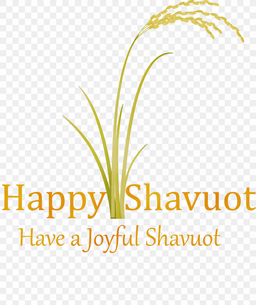 Text Plant Grass Family Logo Grass, PNG, 2522x3000px, Happy Shavuot, Flower, Grass, Grass Family, Leaf Download Free