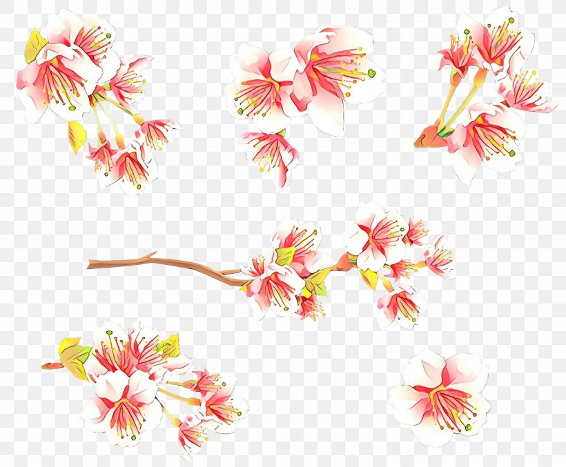 Cherry Blossom, PNG, 3000x2478px, Cartoon, Blossom, Cherry Blossom, Cut Flowers, Flower Download Free