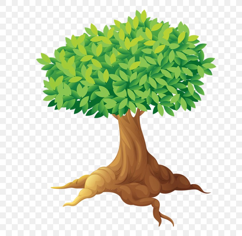 Dog Tree Clip Art, PNG, 647x800px, Dog, Drawing, Flowerpot, Grass, Houseplant Download Free