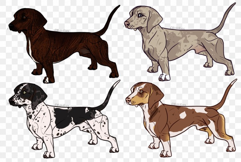 Harrier English Foxhound Redbone Coonhound Beagle Dog Breed, PNG, 1290x871px, Harrier, Beagle, Black And Tan Coonhound, Breed, Carnivoran Download Free
