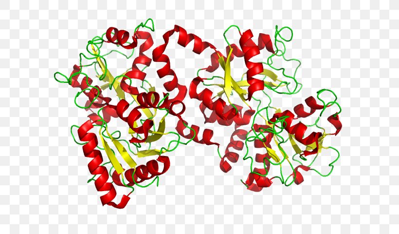 Lactoferrin Glycoprotein Transferrin Cell, PNG, 640x480px, Lactoferrin, Betalactoglobulin, Blood Cell, Cell, Flower Download Free