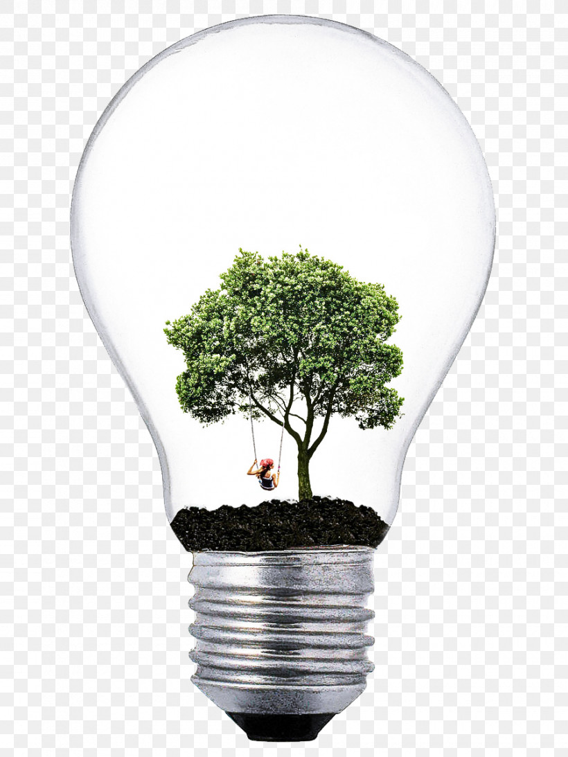 Light Bulb, PNG, 900x1200px, Flowerpot, Flower, Grass, Green, Houseplant Download Free
