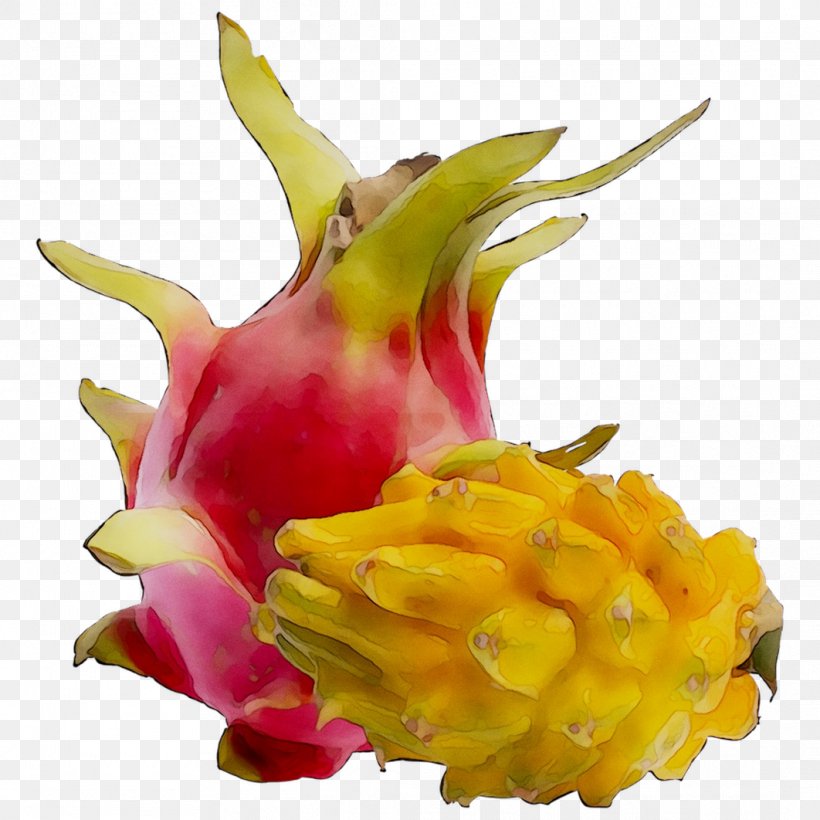 Passion Fruit Vegetable Los Angeles, PNG, 1062x1062px, Fruit, Asparagus, Aubergines, Bell Pepper, Cactus Download Free