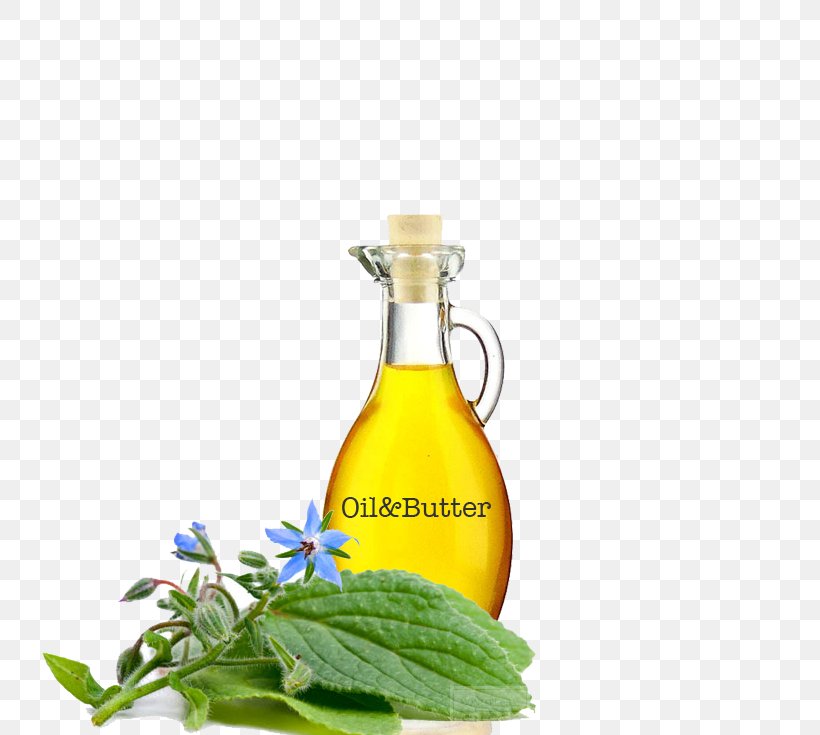 Soybean Oil Borage Seed Oil Herb Gamma-Linolenic Acid, PNG, 735x735px, Soybean Oil, Borage, Borage Seed Oil, Bottle, Cooking Oil Download Free