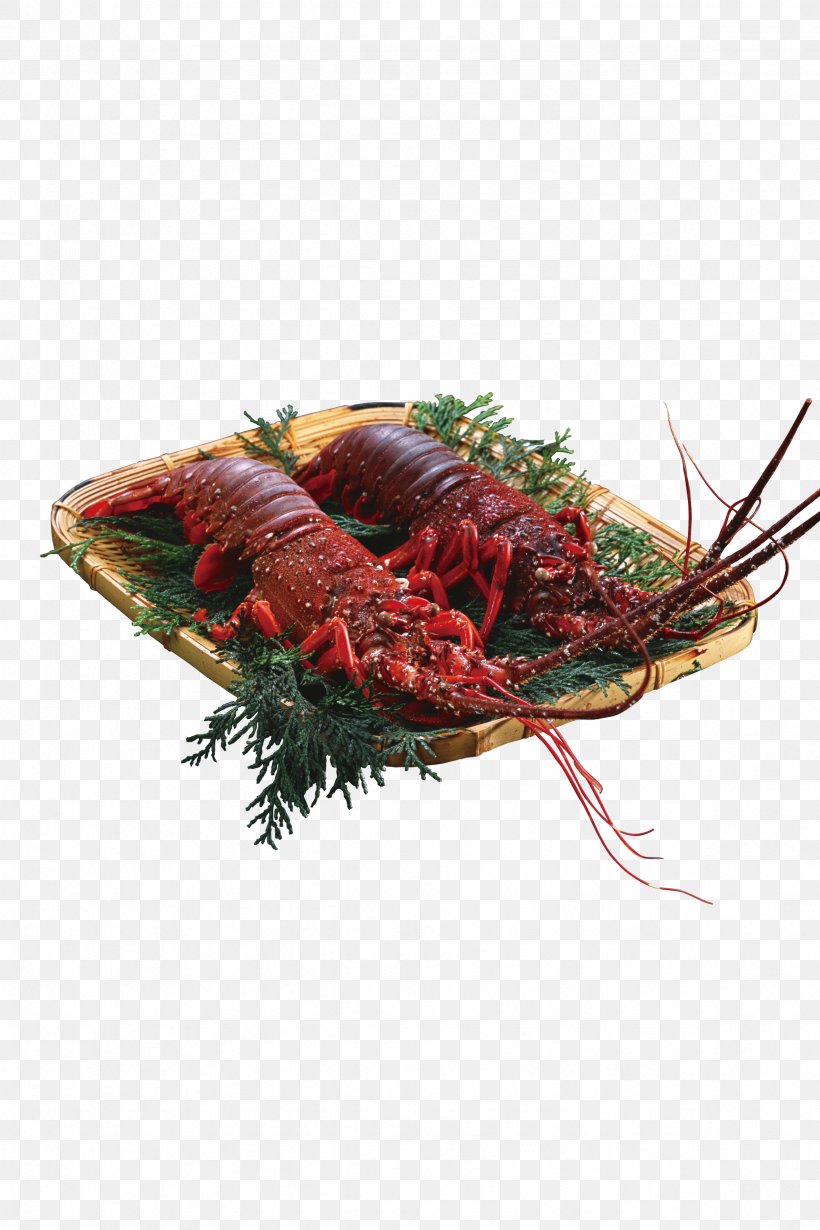 Xuyi County Lobster Chinese Cuisine Seafood, PNG, 2362x3543px, Xuyi County, Chinese Cuisine, Floral Design, Food, Garnish Download Free