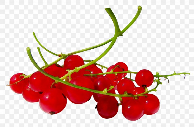 Zante Currant Cherries Redcurrant Blackcurrant Berries, PNG, 2253x1472px, Zante Currant, Acerola Family, Berries, Berry, Blackcurrant Download Free