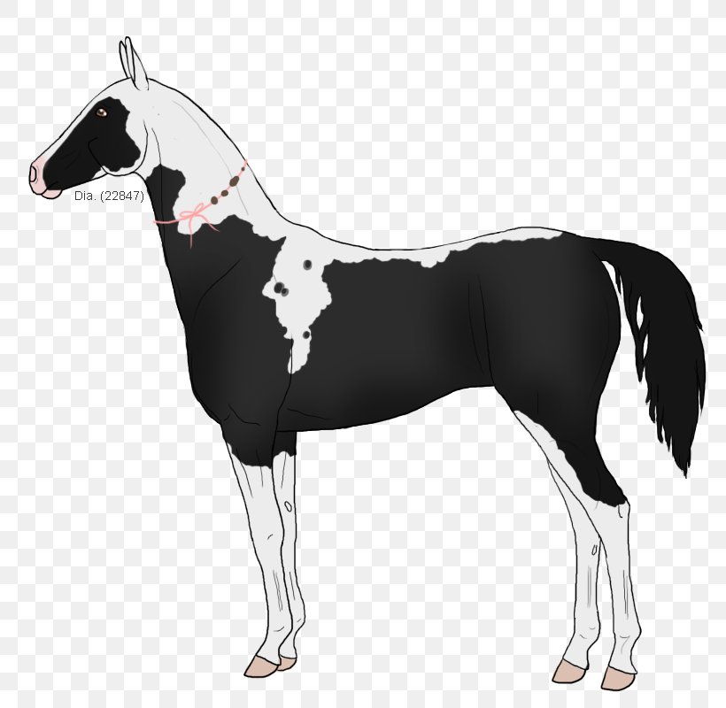 Mane Mustang Foal Stallion Colt, PNG, 800x800px, Mane, Black And White, Colt, Foal, Halter Download Free
