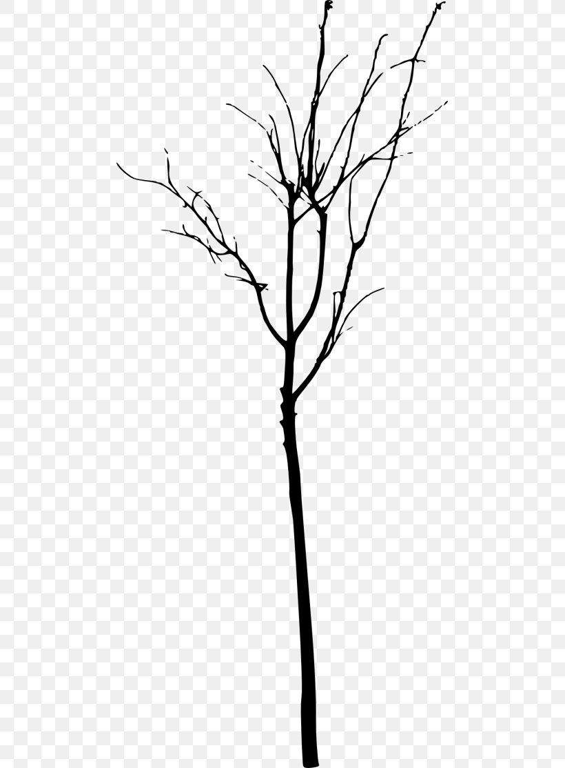 Twig Tree Branch Clip Art, PNG, 481x1113px, Twig, Black And White, Branch, Drawing, Flora Download Free