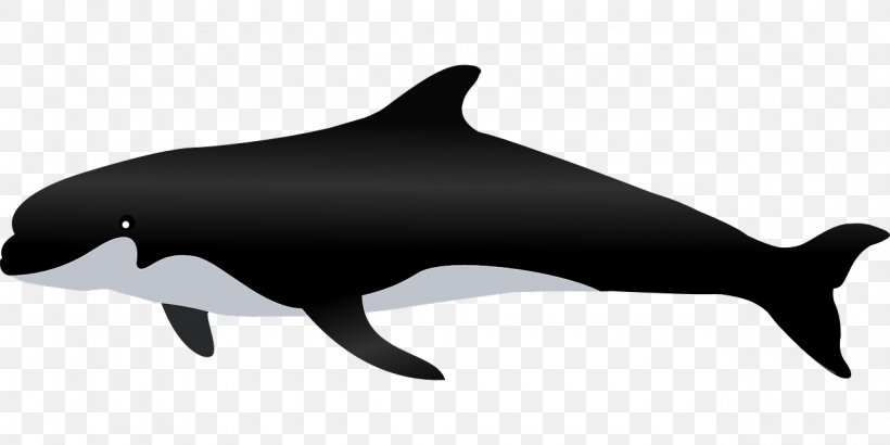 Whale Pixabay, PNG, 1280x640px, Whale, Black, Black And White, Common Bottlenose Dolphin, Display Resolution Download Free