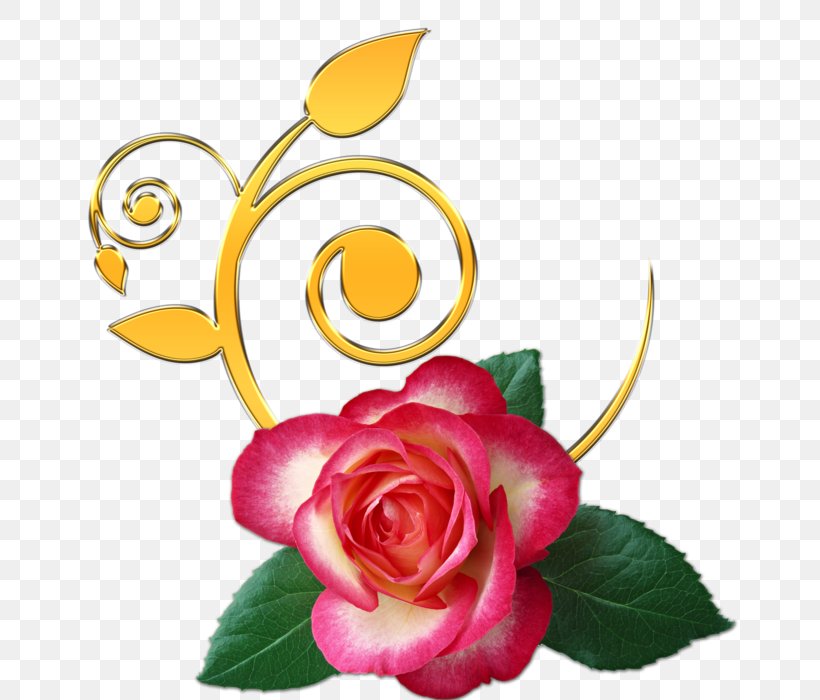 Garden Roses Flower Desktop Wallpaper Clip Art, PNG, 700x700px, Garden Roses, Cut Flowers, Digital Image, Directory, Display Resolution Download Free