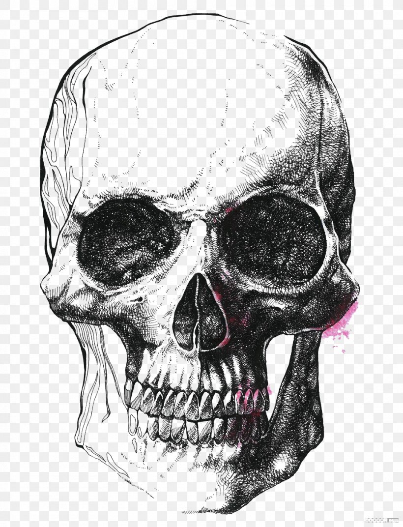 Human Skull Symbolism Drawing Skeleton Illustration, PNG, 960x1256px, Skull, Behance, Black And White, Bone, Drawing Download Free