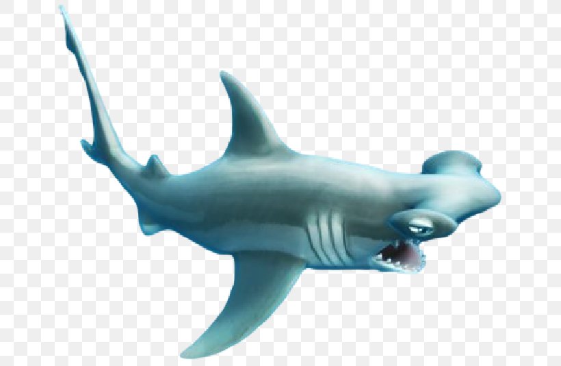 Hungry Shark Evolution Isurus Oxyrinchus Hammerhead Shark Great Hammerhead, PNG, 665x535px, Hungry Shark Evolution, Basking Shark, Blacktip Reef Shark, Carcharhiniformes, Cartilaginous Fish Download Free