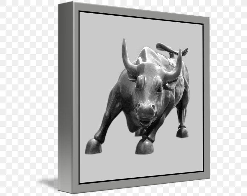 Bull Cattle Picture Frames Snout, PNG, 589x650px, Bull, Black And White, Cattle, Cattle Like Mammal, Cow Goat Family Download Free