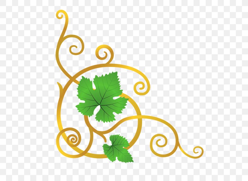 Common Grape Vine Clip Art, PNG, 571x600px, Grape, Art, Artwork, Common Grape Vine, Drawing Download Free