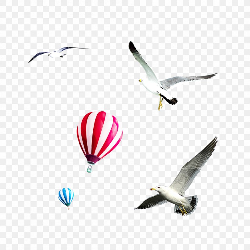 Flight Bird Airplane Sky Balloon, PNG, 946x946px, Flight, Aerospace Engineering, Air, Air Travel, Aircraft Download Free