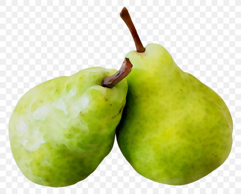 Pear Apple Fahrenheit, PNG, 1522x1226px, Pear, Accessory Fruit, Apple, Chayote, Common Guava Download Free