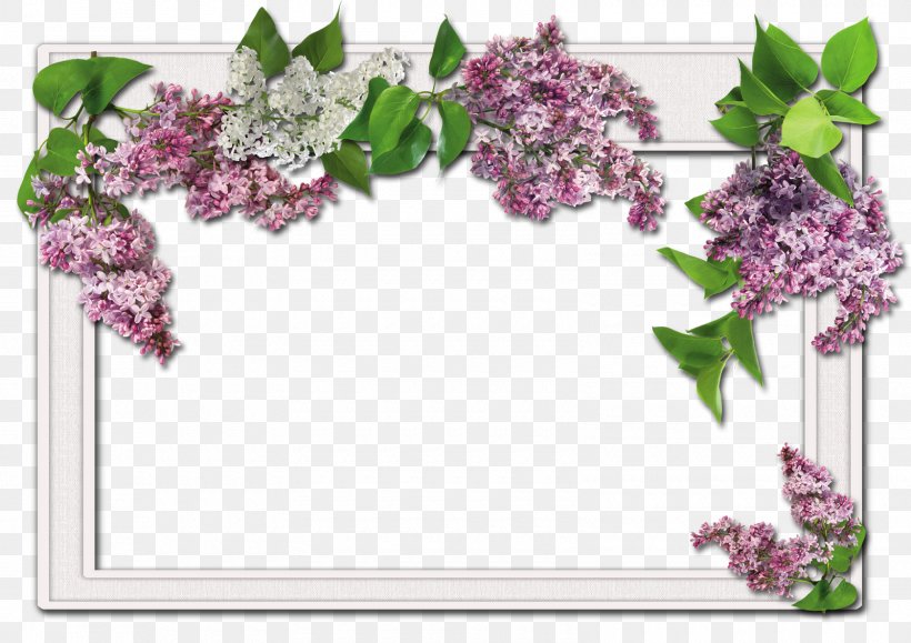 Picture Frames Flower Christmas Clip Art, PNG, 1600x1130px, Picture Frames, Blossom, Branch, Christmas, Craft Download Free