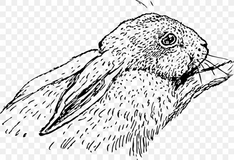 Rabbit Drawing Line Art Clip Art, PNG, 958x655px, Rabbit, Artwork, Beak, Bird, Bird Of Prey Download Free