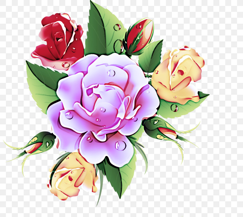 Garden Roses, PNG, 800x733px, Flower, Cut Flowers, Garden Roses, Petal, Pink Download Free